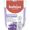 Sviečka Bolsius True Scents, levanduľa, 80x73 mm, v skle