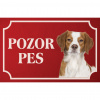 Francúzsky španiel - Kovová tabuľka POZOR PES