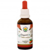 Ašvaganda - vitánie AF tinktura BIO 50 ml Salvia Paradise