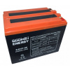 GOOWEI ENERGY GOOWEI ENERGY Pb trakčný záložný akumulátor VRLA GEL 12V/55Ah (6-EVF-55)