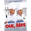 Oui, šéfe! - DVD