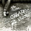 LP Miroslav Žbirka: Chlapec z ulice