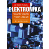 Elektronika - Jan Vobecký, Vít Záhlava