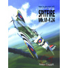 Bojové legendy - Spitfire Mk.VI-F.24 - Peter Caygill