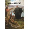 Černé roucho - Brian Moore