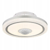 Stropné Svietidlo Globo Lighting strieborný
