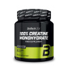 BioTech USA Creatine Monohydrate - 300 g