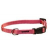 B & F Obojok puppy nylon rozlišovací rozlišovací-růžový