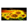 Obrázok 140x70 Slnečnicová kvetinová rastlina (Obrázok pre darček 140x70 Slnečnicová kvetinová rastlina)