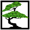 Obrázok Strom života bonsai mach chrobotek 60 cm rám (Obrázok Strom života bonsai mach chrobotek 60 cm rám)