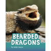 Bearded Dragons