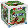 Brainbox Zvieratá