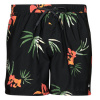 Quiksilver Plavky EVERYDAY MIX VOLLEY 15 Viacfarebná