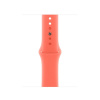 Apple Watch 42mm Tangerine Sport Band - S/M MDRY4ZM/A