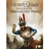 Taleworlds Mount & Blade: Warband - Napoleonic Wars DLC (PC) Steam key 10000004988003