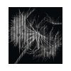 Dizajnový akustický panel DIGI01N 19x2253x2400 mm