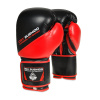 Boxerské rukavice DBX Bushido ARB-437 10 oz (Bushido ARB437 10oz rukavice)