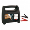 Automax 6A 12V