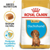 Royal Canin Dachshund Puppy 1,5 kg