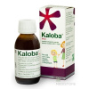 Kaloba sirup sir (fľ.skl.hnedá+odmerka) 1x100 ml Dr. Willmar Schwabe GmbH&Co. KG