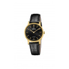 FESTINA 20017/3