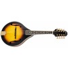 Pilgrim VPMA30 (Akustická mandolína)