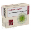 HANUS ČAJOVINA S FIALKOU 40 g