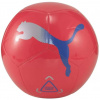 Futbalová lopta Puma Icon Ball