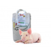 Doplnková kŕmna zmes - ošípaná 5 kg