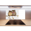 Panel lacobel Dve sovy na vetve 100x50 cm