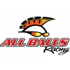 Opravný brzdový strmeň All Balls 18-3083