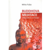 Buddhova meditace všímavosti a vhledu