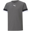 Detský dres TeamRise Jr 704938 13 - Puma 140