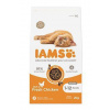 Iams Cat Kitten Chicken 2kg