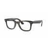 Ray-Ban RX4340V WAYFARER 8224