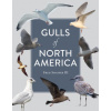 Gulls of North America (Fred Shaffer)(Brožovaná)
