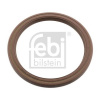 Tesniaci krúžok kľukového hriadeľa Opel FEBI BILSTEIN 101738 (Tesniaci krúžok kľukového hriadeľa Opel FEBI BILSTEIN 101738)