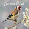 Garden Birds, 30,5 x 30,5 30,5 x 61 cm 2026