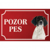 Francúzsky španiel - Kovová tabuľka POZOR PES