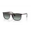 Ray-Ban RB2216 1430GK