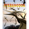 Pteranodon - Rob Shone