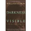 Darkness Visible