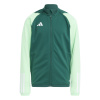 Adidas Teamsport Tiro 23 Competition zelená UK Junior M