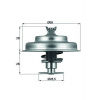 Termostat chladenia MAHLE TX 75 80D