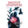 Zloději snů (Maggie Stiefvater)