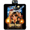 Blue Sky Studios Pikniková deka Harry Potter a Kámen mudrců