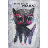 Praha (zbierka básní) (Tomáš Straka)