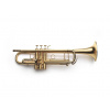VANLAAR Chuck Findley - Brushed, Gold-plated