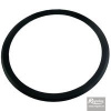 Regulus Těsnicí kroužek RegulusFLEX pr. 100 15953