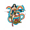 ZUTY Maľovanie podľa čísel - WONDER WOMAN DÚHA III Rámovanie: bez rámu a bez vypnutia plátna, Rozmer: 40x50 cm